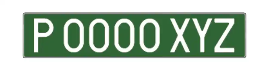 matriculas provisional verde