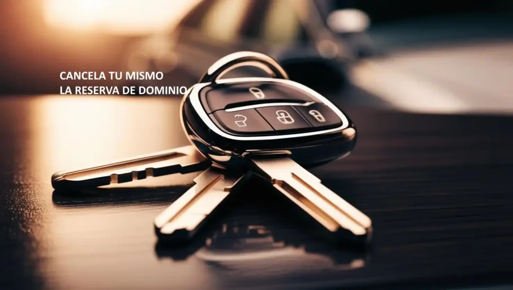 Cómo cancelar la reserva de dominio tú mismo